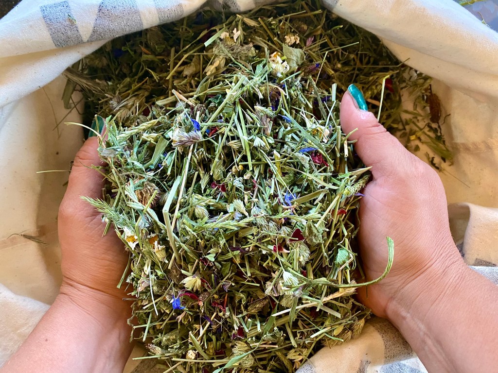 Heublumen – Heilkraft der&nbsp;Wiese